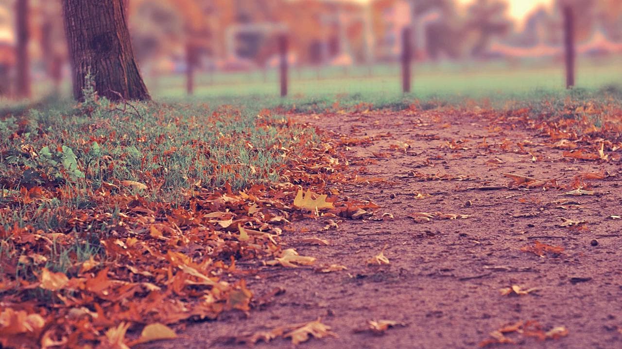 El centro cultural abre la inscripción a los talleres de primavera — imagen 2